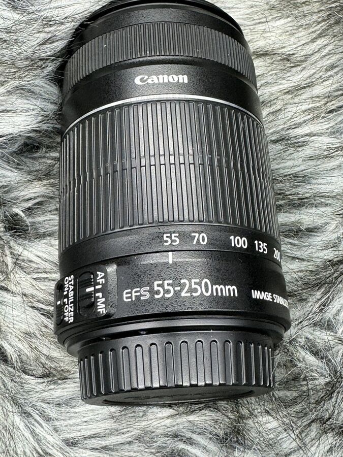 Canon EOS 77D 24.2 MP Digital Slr Camera with EF-S 18-55mm + ef-s 55-250mm Lenses