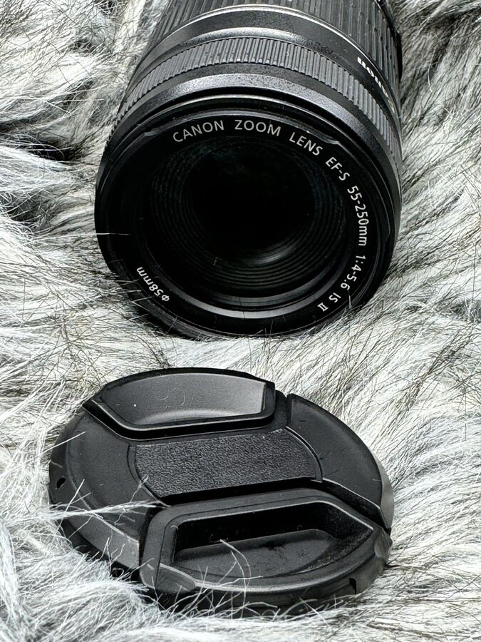Canon EOS 77D 24.2 MP Digital Slr Camera with EF-S 18-55mm + ef-s 55-250mm Lenses